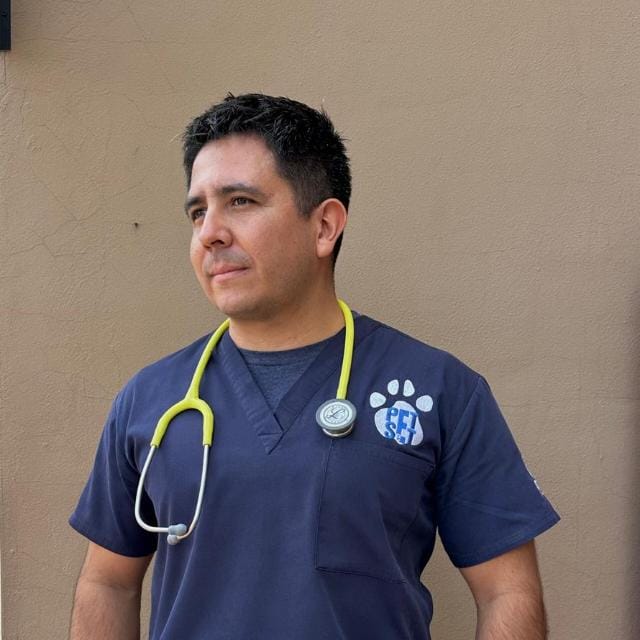 avatar de Aarón Abraham